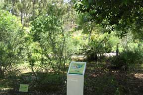 Jardín Botánico El Robledo en Constantina. Foto: Consejería de Medio Ambiente y Ordenación del Territorio