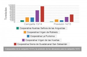 Sierra Norte de Sevilla. Comparativa campaña aceituna