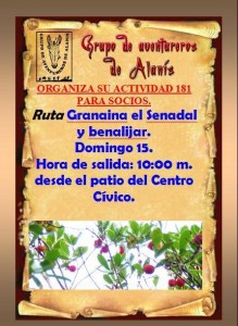 Grupo de Aventureros de Alanís