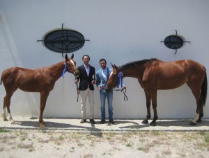 Sierra Norte-Cazalla-Ganadería Hermanos Ortega600x800