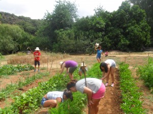 Los niños aprenden a cultivar en el huerto del Centro de Naturaleza El Remolino. Foto: C.N. El Remolino