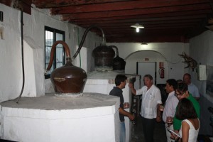 Sierra norte-Cazalla-Ginebra El Clavel