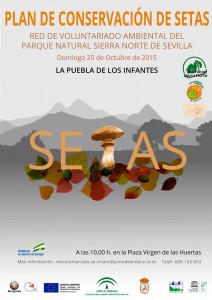 Plan-conservación-setas