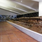 El tronco fósil del Viuar reposa sobre una estructura en el Centro de Visitantes Cortijo El Berrocal. Foto: Parque Natural Sierra Norte de Sevilla.