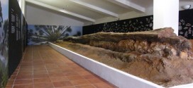 Almadén de la Plata exhibe ya el tronco fósil del Viar con 300 millones de años