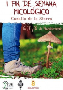 Setas-Cazalla-Micología-Turnature