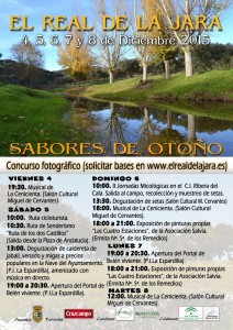 Cartel SABORES DE OTOÑO 2015 WEB