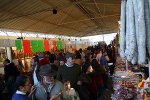 Feria Muestras Pedroso 2015 (11)