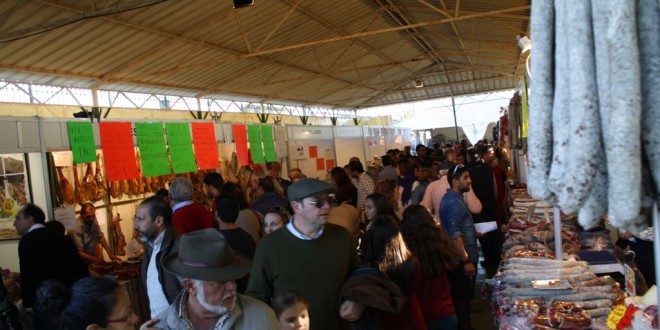 Feria Muestras Pedroso 2015 (11)