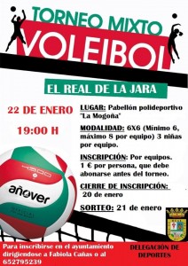 Voleibol ElReal de la Jara
