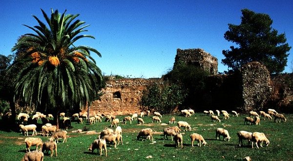 Los paisajes de Cazalla, Constantina, el Cerro del Hierro y el Huéznar se incluyen en el Registro de Paisajes de Interés Cultural de Andalucía