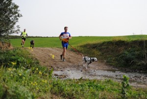 Sierra Norte-Constantina-Canicross (1)