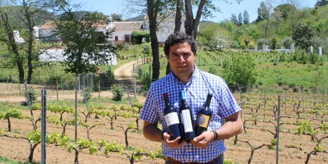 La Margarita recupera el castaño de la Sierra Norte para elaborar barricas en la que envejecerán sus vinos