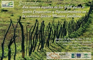 Jornada gdr