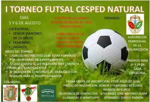 Torneo Guadalcanal Futsal