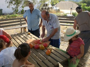 En los huertos sociales ecológicos se han organizados distintas degustaciones.