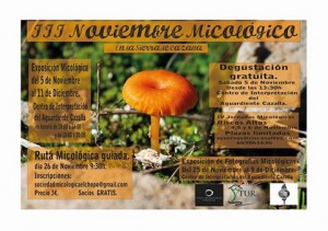 noviembre-micologico-cazalla