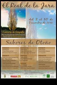 sabores-otono