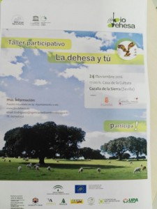 taller-dehesa