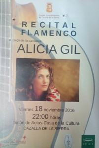 flamenco-cartel-18nov2016