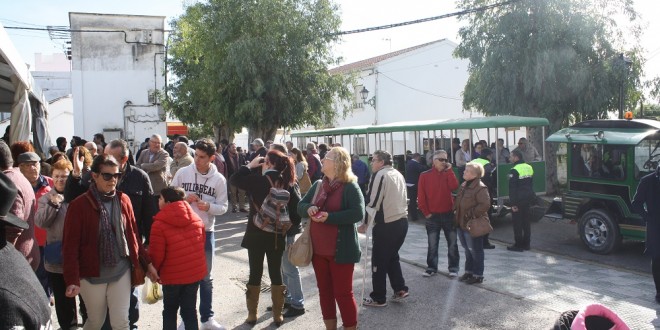 el-pedroso-feria-muestras-2016-18