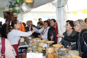 el-pedroso-feria-muestras-2016-8