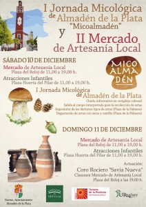 programa-micoalmaden-2016