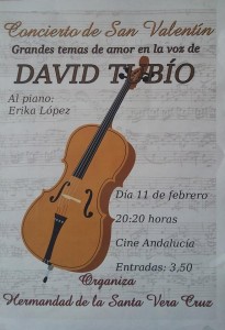 Concierto David Tubio
