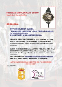 CARTEL RUTA