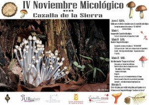IV NOVIEMBRE MICOLOGICO