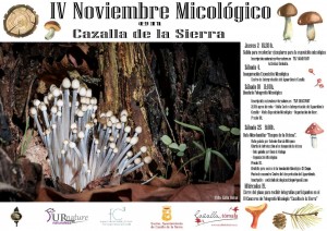 IV NOVIEMBRE MICOLOGICO