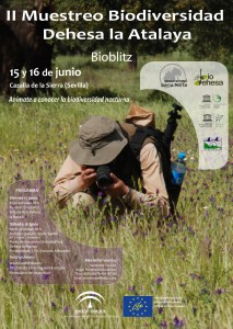 Bioblitz Dehesa